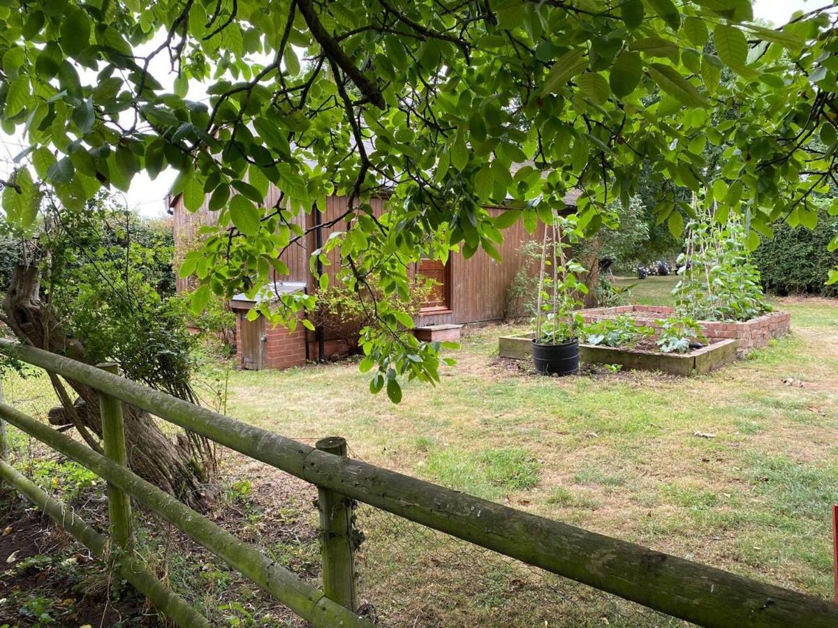 Orchard Herefordshire Wye Valley *